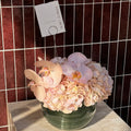 Blush reverie