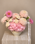Pink Gardenia