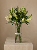 Ivory Lily - 10 stems
