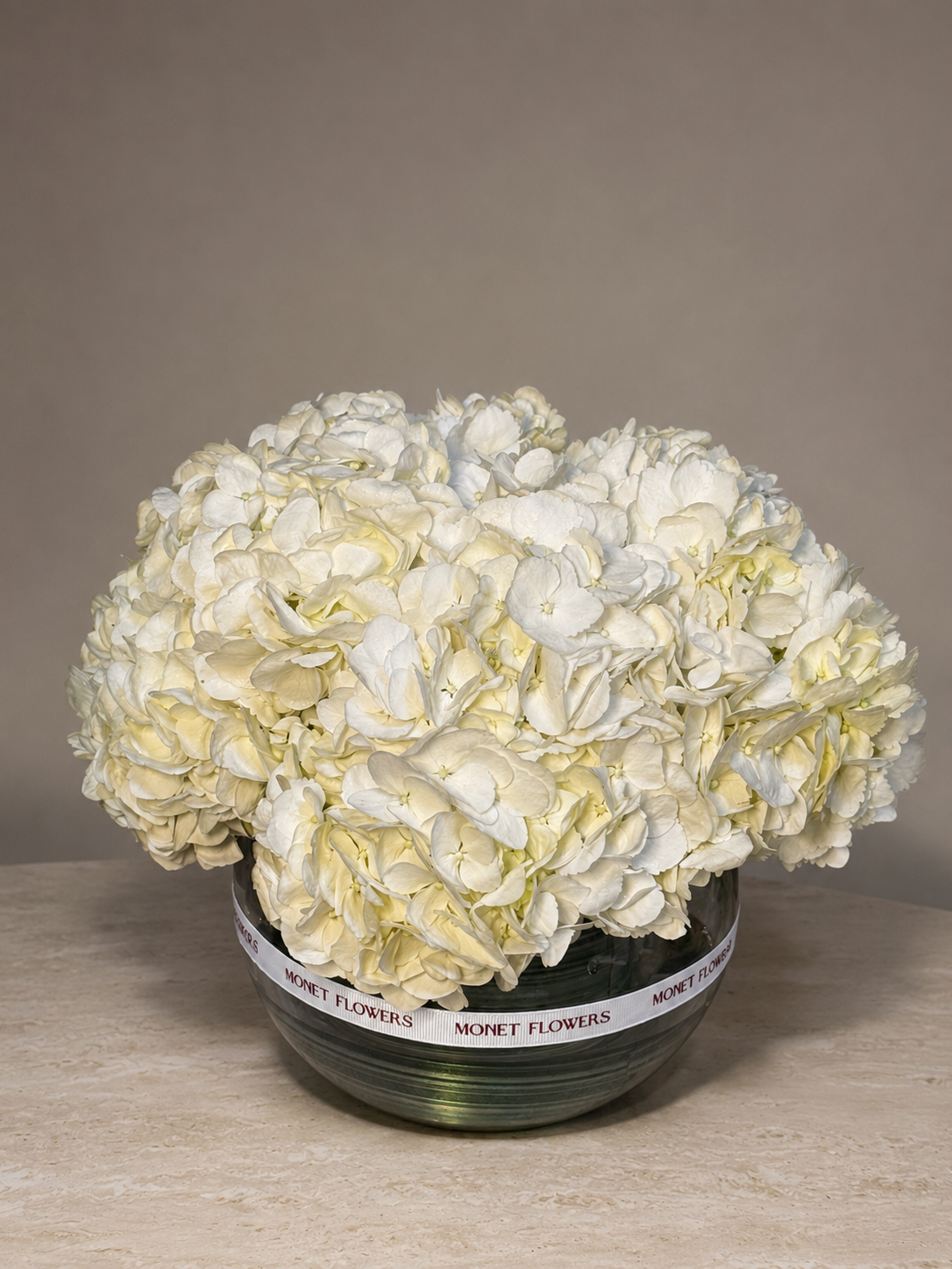 Classic White Hydrangea