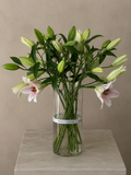 Blush Lily - 10 stems