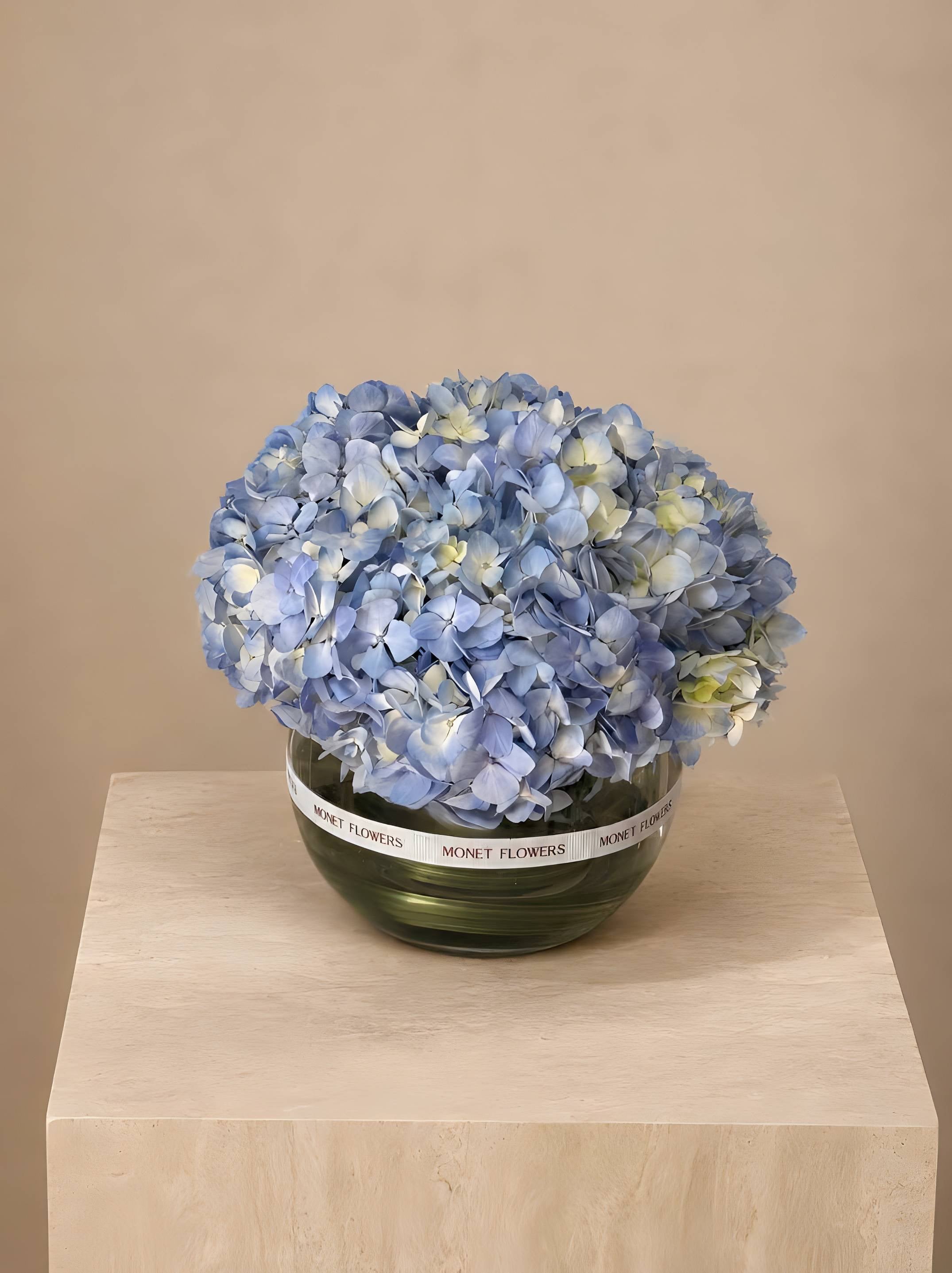 Classic Blue Hydrangea